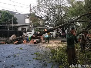 Pesan BMKG ke Pemotor di Musim Hujan: Jangan Berteduh di Bawah Pohon!