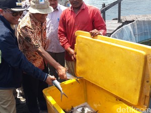 Kunjungi Pengembangan Nila Laut, Menteri Nasir Beri Nama Maharsi
