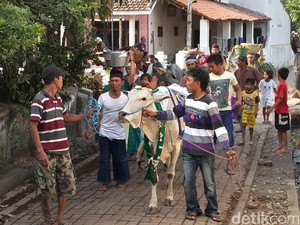 Ragam Tradisi Unik Idul Adha di Berbagai Daerah Indonesia