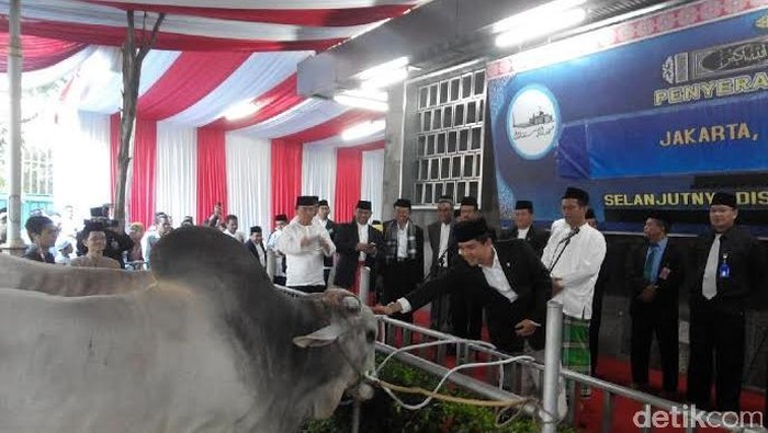 Menpan Yuddy Chrisnandi Serahkan Sapi Kurban Presiden ke Masjid Istiqlal