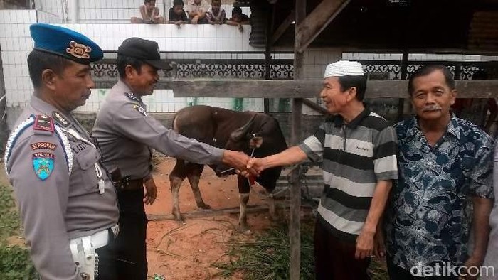 Polresta Pekanbaru Sumbang 15 Ekor Sapi untuk Kurban