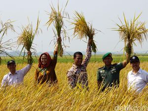 Mentan Minta Jajarannya Cegah Penyebaran Benih Palsu