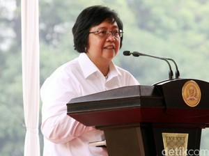 Menteri Siti: 3 Perusahaan Pembakar Hutan Dicabut Izinnya, 7 Dibekukan