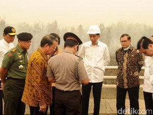 Ini Instruksi Presiden Jokowi Atasi Kebakaran Lahan Gambut di Kalimantan
