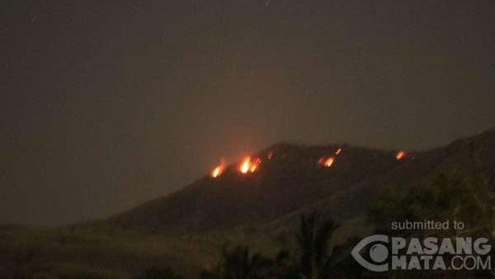 Hutan Lindung Empung di Tomohon Terbakar