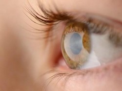 Video Komdigi Ungkap TFH Telah Kumpulkan 500 Ribu Data Retina di Indonesia