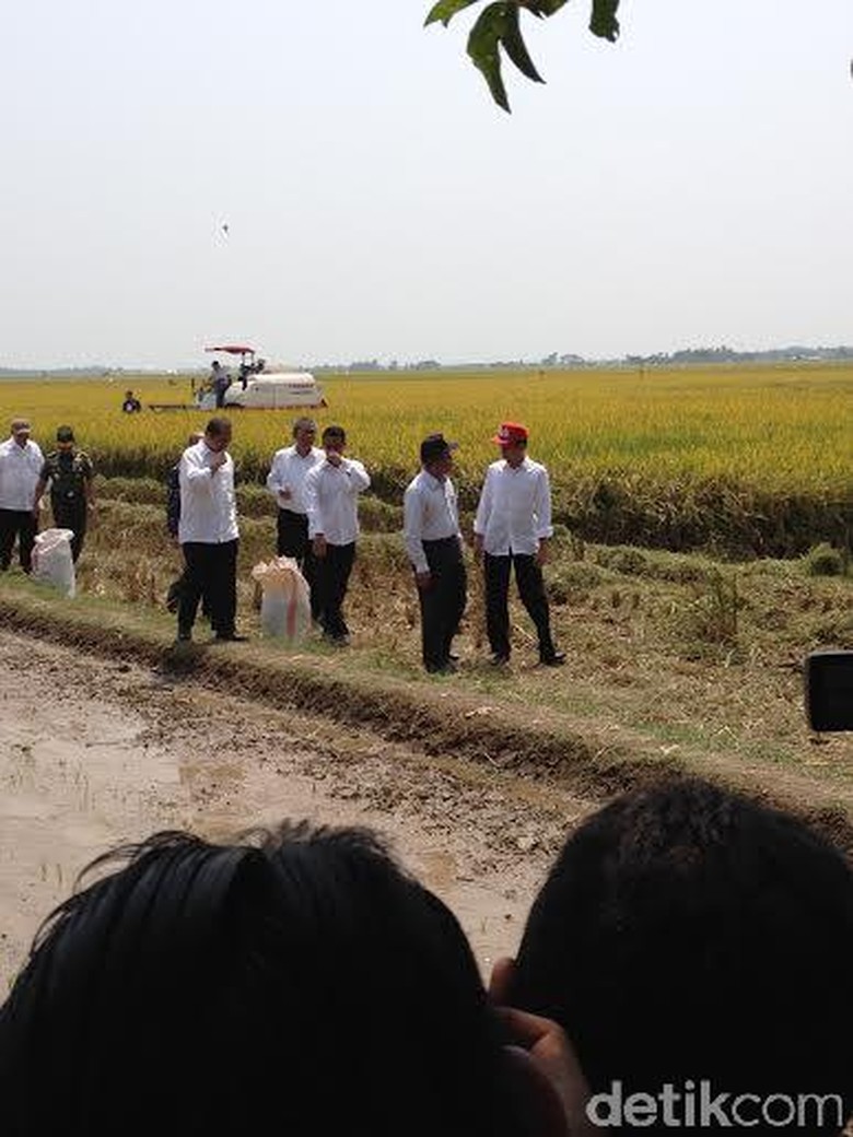 Jokowi Minta Menag Laporkan Perkembangan Tragedi Mina 