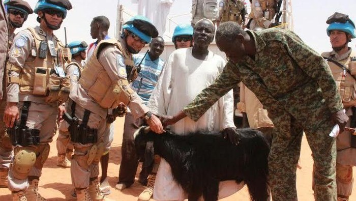 Pasukan Perdamaian RI Tebar 100 Kambing Kurban di Sudan