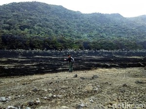 Rumput di Alun-alun Suryakencana di Gunung Gede Terbakar Akibat Ulah Peziarah