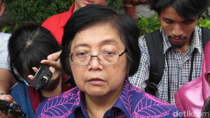 El Nino Masih Mengancam, Pemerintah Siapkan Langkah Antisipasi