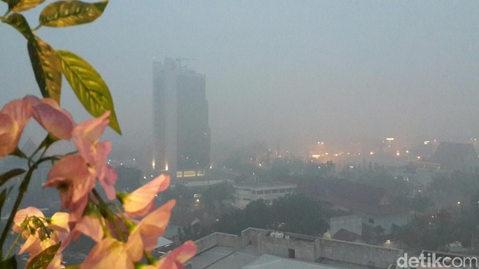 Rumahnya Dikepung Asap, Anggota DPR Minta Jokowi Datang ke Jambi