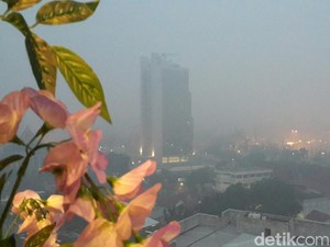 Pemerintah Diminta Tak Ragu Tetapkan Status Bencana Nasional Kabut Asap