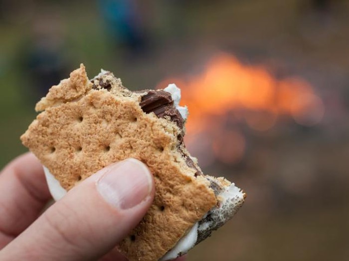 Alergi Kacang, Remaja Ini Meninggal Usai Makan Kue Saat Berkemah