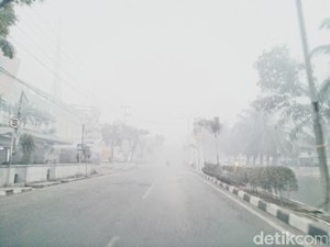 Pimpinan DPR: Jangan Malu Tetapkan Kebakaran Hutan Jadi Bencana Nasional