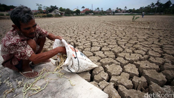 El Nino, Bocah Lelaki yang Membuat Sumur Kita Kerontang
