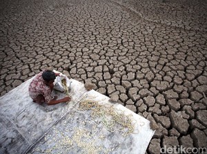 11 Kecamatan di Sragen Darurat Air Minum