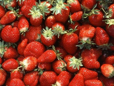 Image result for Ini Manfaat Strawberry Untuk Kehidupan Sex