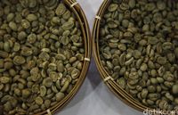 Inilah Kopi Gunung Puntang Bandung yang Dilelang USD 56 di Amerika