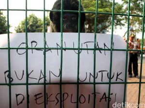 Jual Beli Satwa Dilindungi, Ramadhani Dihukum 2 Tahun Penjara
