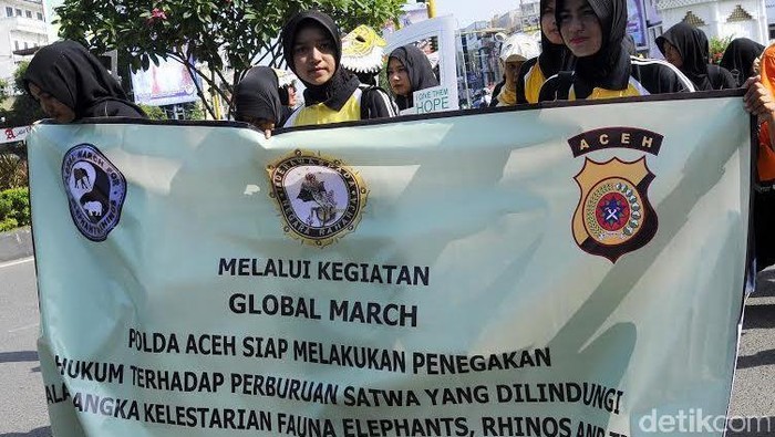 Kenang Yongki, Polwan Cantik di Aceh Kampanye Lawan Perdagangan Satwa