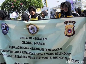 Kenang Yongki, Polwan Cantik di Aceh Kampanye Lawan Perdagangan Satwa