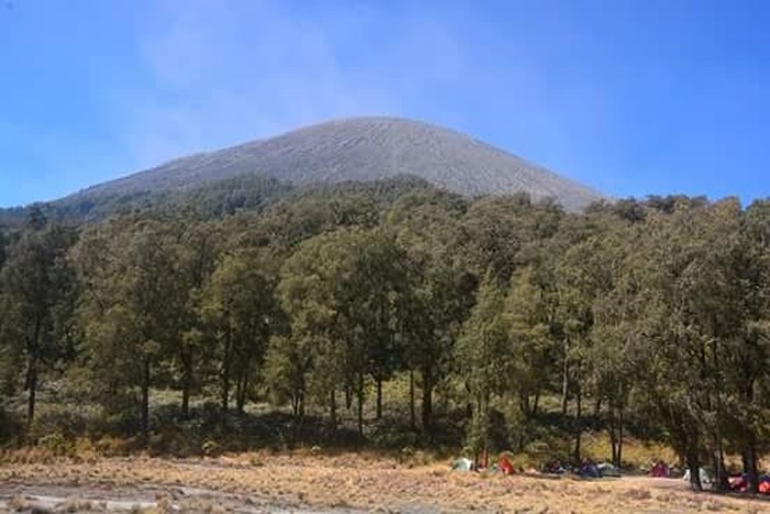 Hutan di Gunung Semeru Terbakar, 30 Pendaki Dievakuasi