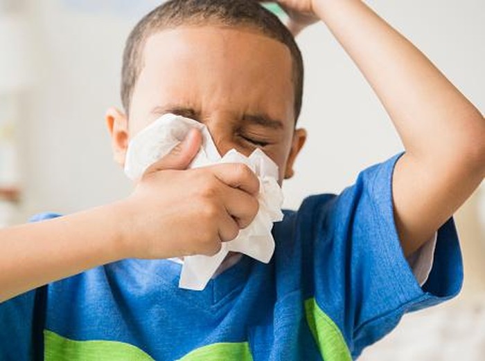 Flu babi adalah salah satu varian virus influenza. (Foto: Getty Images) Flu babi adalah salah satu varian virus influenza. (Foto: Getty Images)