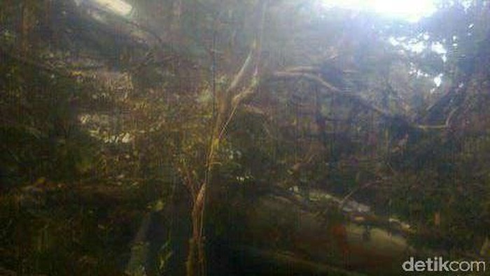 Basarnas Siapkan Evakuasi Korban Aviastar Lewat Jalur Darat dan Udara