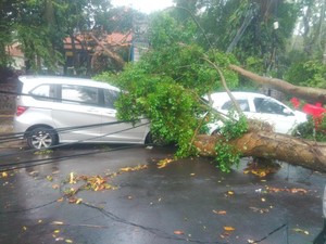 6 Mobil yang Tertimpa Pohon Tumbang di Depan ITB Tak Diberi Ganti