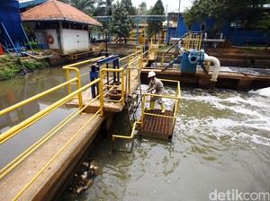 Musim Kemarau Masih Panjang di Jakarta, PAM Jaya Ajak Warga Hemat Air!