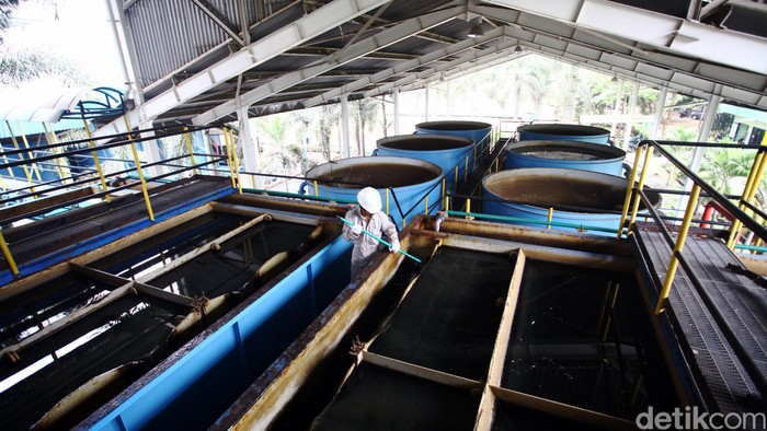 Pekerja membersihan saluran air baku yang siap diolah untuk menjadi air bersih oleh Palyja di Instalasi Pengolahan Air (IPA) Cilandak, Rabu (7/10/2015). Operator penyediaan dan pelayanan air bersih untuk wilayah barat DKI Jakarta, PALYJA, telah berkoordinasi dengan PAM Jaya dan AETRA untuk mendapatkan tambahan air baku, sebagai bentuk kompensasi penurunan produksi Instalasi Pengolahan Air (IPA) Cilandak, Jakara Selatan. Rachman Haryanto/detikcom.