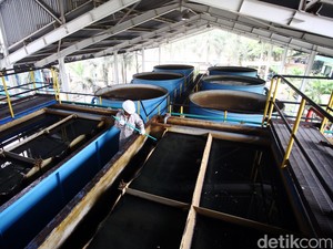 Dukung Penyediaan Air Bersih, Pemerintah Alokasikan Rp 300 Juta/Proyek