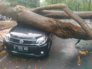 Begini Detik-detik Mencekam Saat Pohon Timpa 6 Mobil di Depan ITB