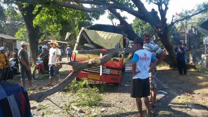 Sebuah Truk Tertimpa Pohon Tumbang, Sopir Tergencet