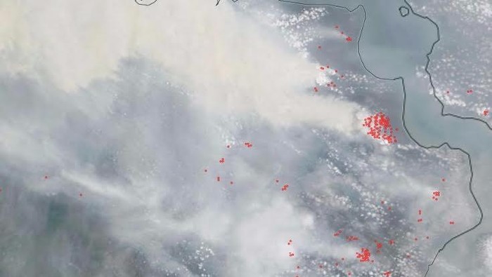 Kabut Asap Menggila, Taufik Kurniawan: Menteri Harus Kerja Keras