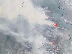 Kabut Asap Menggila, Taufik Kurniawan: Menteri Harus Kerja Keras