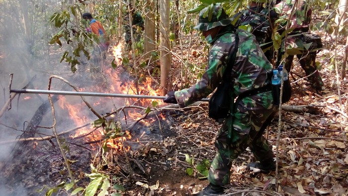Prajurit Marinir Bahu-membahu Padamkan Kebakaran di Hutan Lindung Tangkoko