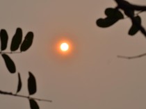 Penerbangan di Bandara Sultan Muhammad Salahuddin Terganggu Kabut Haze