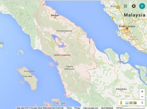Ini Nama-nama Penumpang dan Pilot di Heli yang Hilang Kontak di Sumut