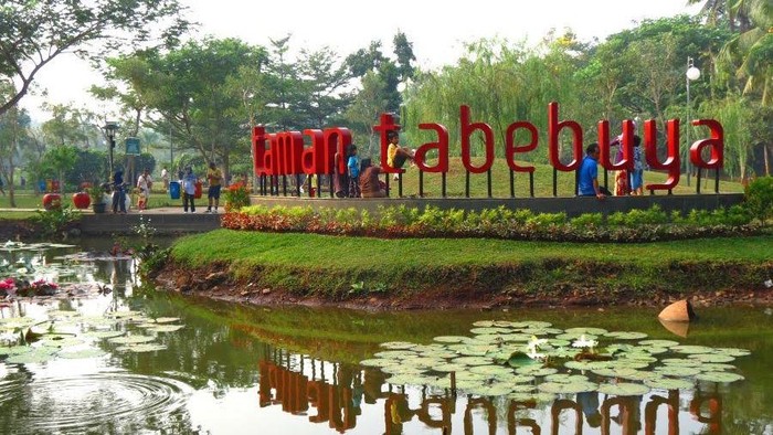taman tabebuya yang keren di Jaksel