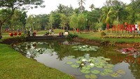Taman Tabebuya berada di Jl Moh Kahfi I, Ciganjur, Jagakarsa, Jakarta Selatan. Letaknya dekat dengan pertigaan Jagakarsa, di turunan yang merupakan lembah. Traveler yang berangkat kerja dari arah Depok ke Cilandak via Jl Moh Kahfi I, pasti melewati taman ini (Fitraya/detikcom)  
