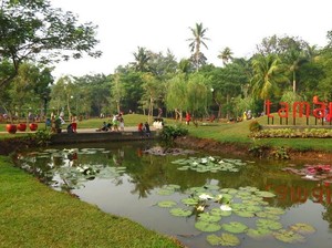 Keren Banget! Penampakan Taman Tabebuya di Jagakarsa yang Indah