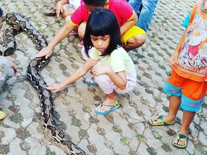 Saat Anak-anak di Bogor ini Tak Takut Ular Slytherin dan Malah Rebutan Memegangnya