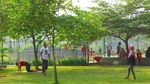 Foto: Tabebuya Sudah Ada di Taman Jagakarsa