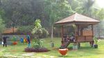 Foto: Tabebuya Sudah Ada di Taman Jagakarsa