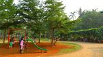 Foto: Tabebuya Sudah Ada di Taman Jagakarsa
