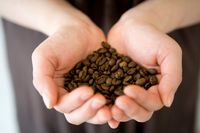 Mau Bikin Kopi Tubruk Sendiri yang Nikmat? Ini Rahasianya