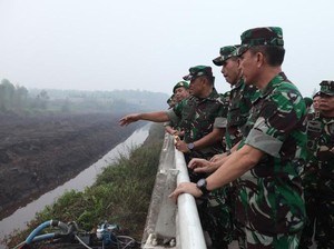 Panglima TNI Tinjau Penanggulangan Kebakaran Hutan di Kalteng