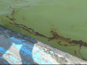 Ada Ceceran Minyak di Laut Tuban, JOB Bantah Pipa Bawah Laut Bocor