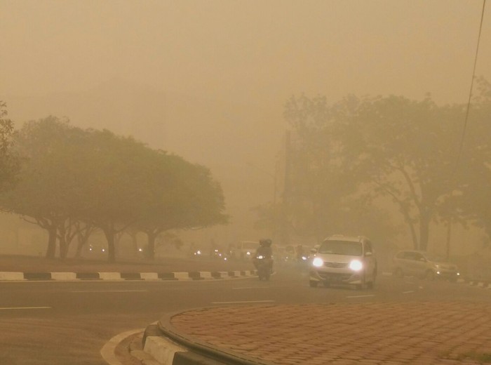 Panja Komisi II DPR akan Hisap Asap Palangkaraya Akhir Oktober